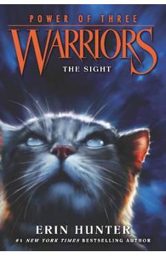 Sight