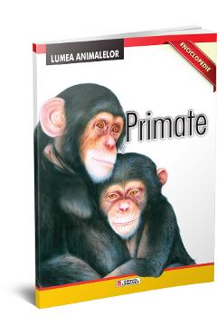 Enciclopedie: Primate