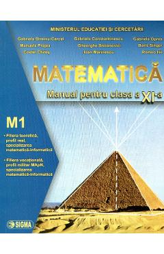 Manual matematica clasa a 11-a, M1 - Gabriela Streinu-Cercel, Gabriela Constantinescu, Gabriela Oprea