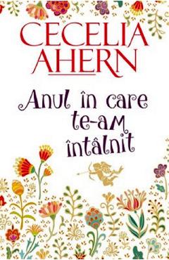 Anul in care te-am intalnit - Cecelia Ahern