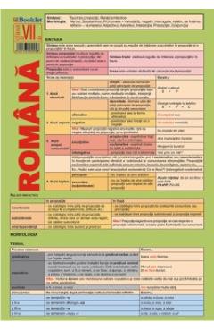 Plansa Limba romana - Clasa 7