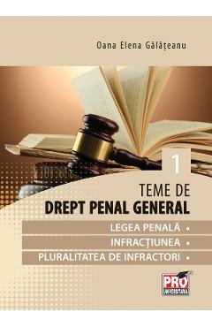 Teme de drept penal partea I - Oana Elena Galateanu