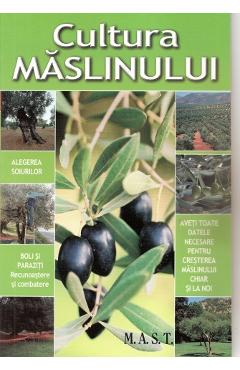 Cultura maslinului cultura