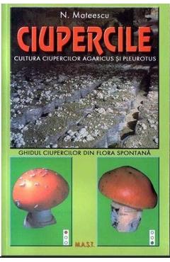 Ciupercile - N. Mateescu