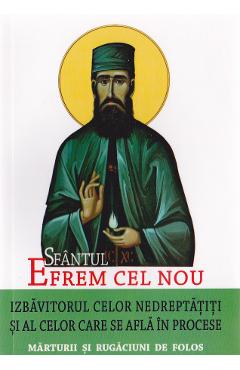 Sfantul Efrem Cel Nou, izbavitorul celor nedreptatiti si al celor care se afla in procese - SOPHIA