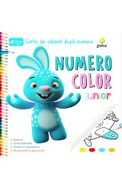 Numero Color Junior. Carte de colorat dupa numere