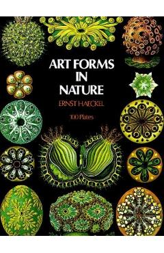 Art Forms in Nature